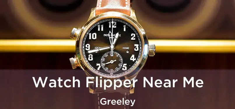 Watch Flipper Near Me Greeley